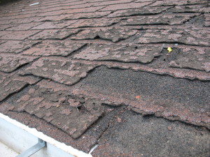 Failure_of_asphalt_shingles_allowing_roof_leakage-300x225