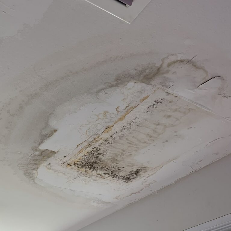 Water Damage on ceiling