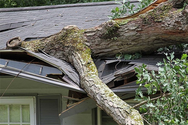 ROOF DAMAGE TALLAHASEE FLORIDA