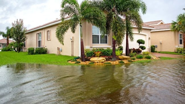 Maximum Settlement for Water Damage