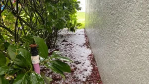 Hail Storm Public Adjuster