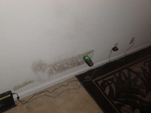 Wall Leak