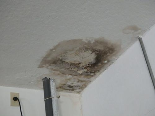 Ceiling Leak