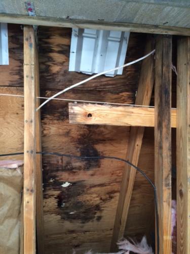 Inside Attic Roof Leak