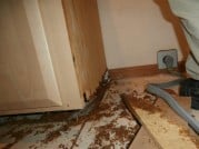 Florida's Best Public Adjusters Secured Compensation for Shower Pan Leak
