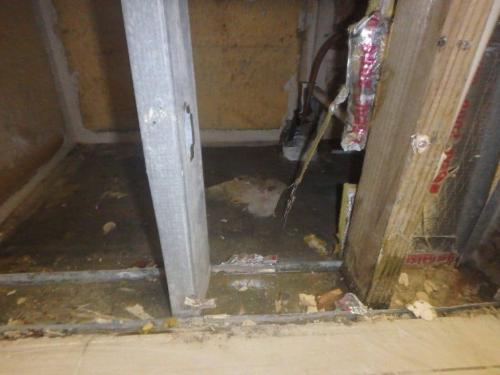 Florida's Best Public Adjusters Secured Compensation for Leak Damage